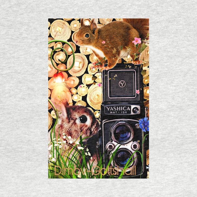 Squirrel and rabbit photographers by Edgot